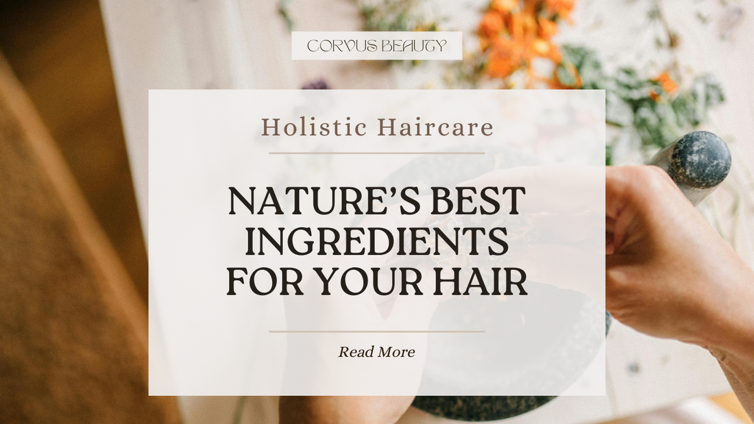 A Guide to Our Amazing Ingredients: Nature’s Best for Your Hair