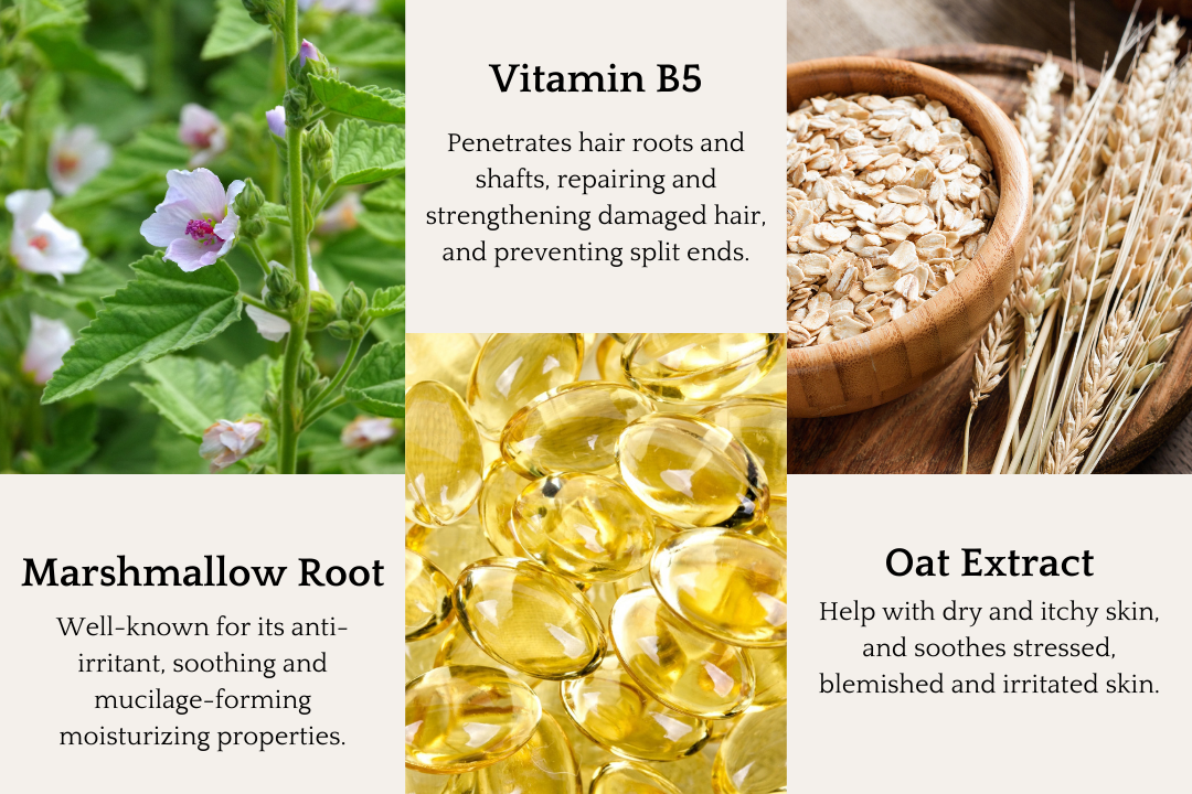 ETHEREAL: Unscented Conditioner Bar for the Ultra-Sensitive - Corvus Botanicals