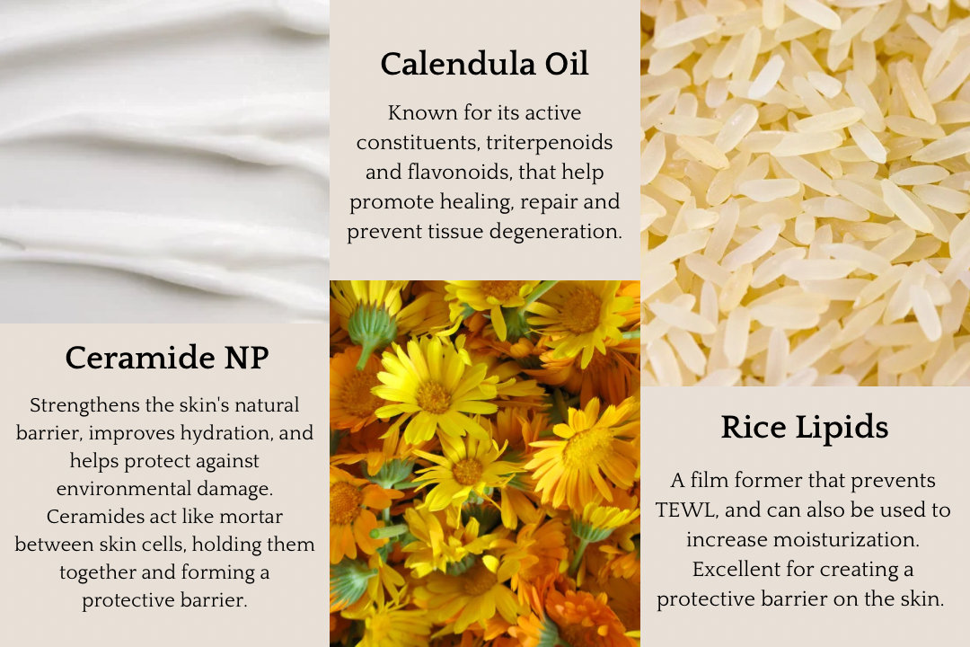 Ceramide Balm - Corvus Botanicals