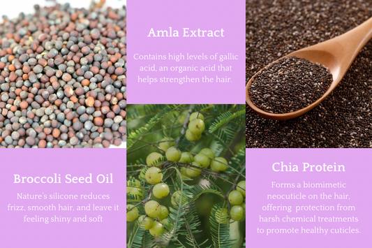 AMETHYST Conditioner Bar for Color + Bond Repair - Corvus Botanicals