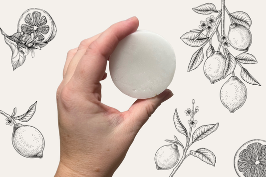 Leave-In Conditioner and Detangler Bar - Corvus Botanicals