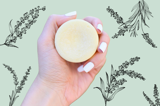 Trial-Size Shampoo and Conditioner Bars - Corvus Botanicals