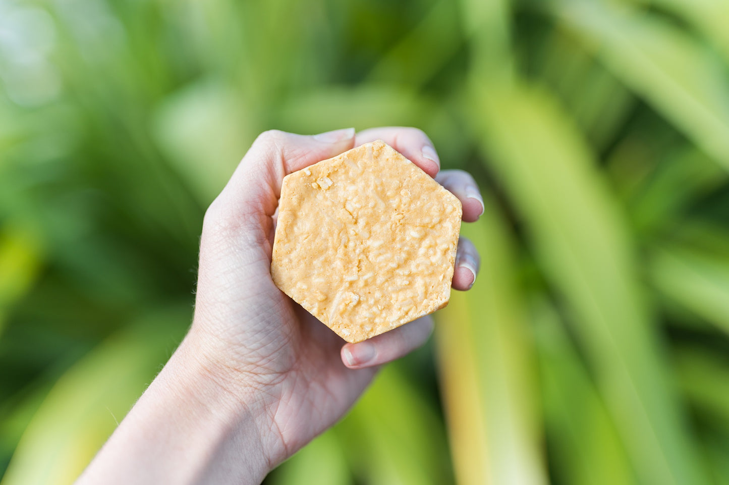 CITRINE 2-in-1 Shampoo Bar - Corvus Botanicals