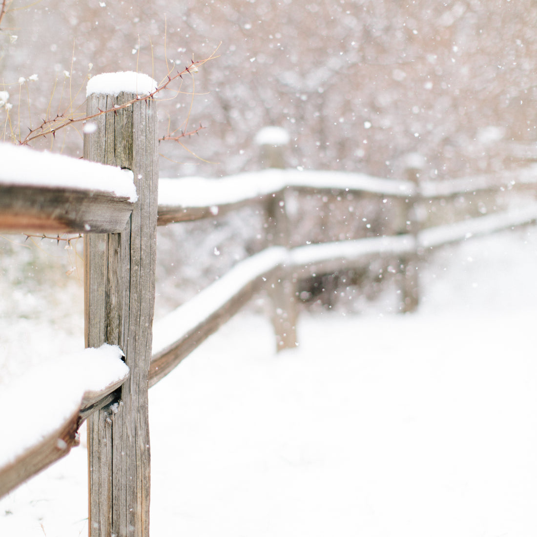 Seasonal Hair Care for Winter