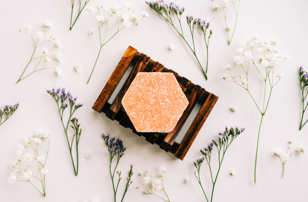 IMPERFECT Shampoo + Conditioner Bars [OLD FORMULA] - Corvus Botanicals
