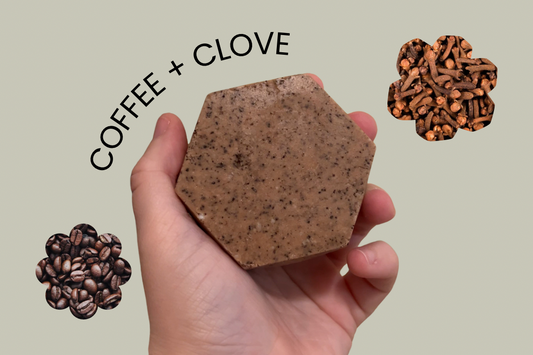 Coffee Clove Hand + Body Wash