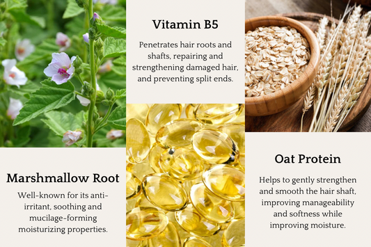 Oat + Mallow Conditioner - Corvus Botanicals