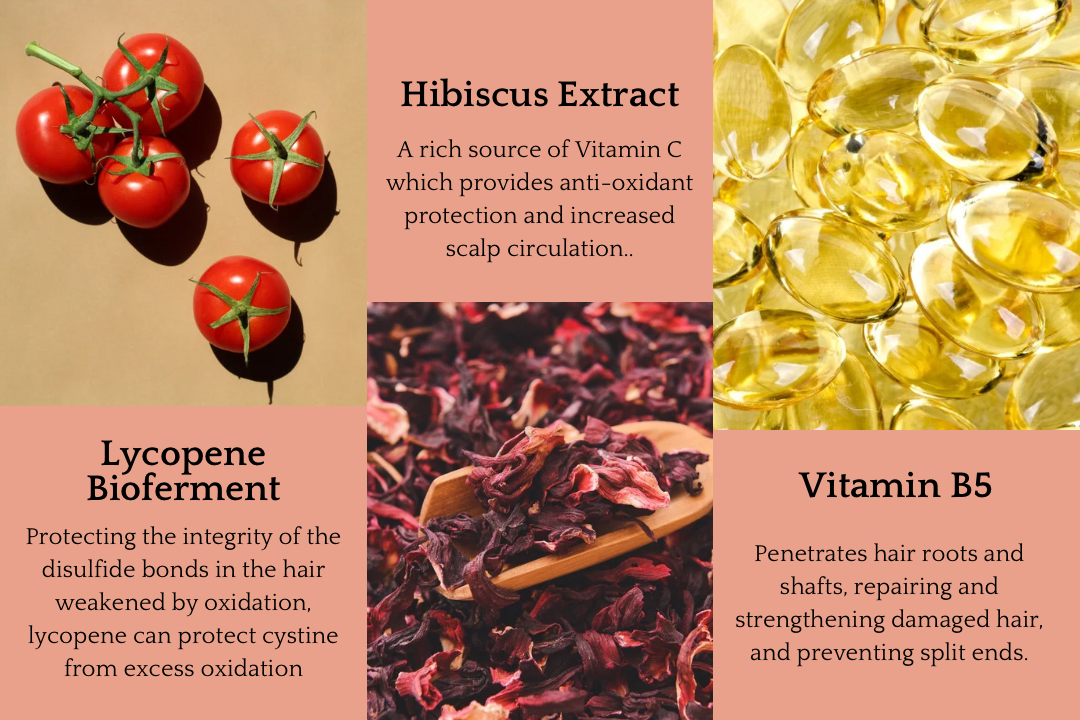 SUNSTONE Conditioner Bar for Thickening + Strength - Corvus Botanicals