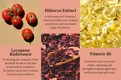 SUNSTONE Conditioner Bar for Thickening + Strength - Corvus Botanicals