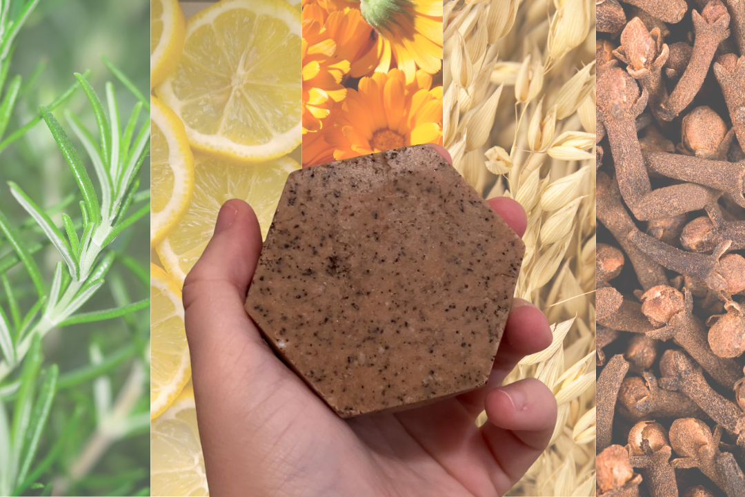 Hand + Body Wash Bars - Corvus Botanicals