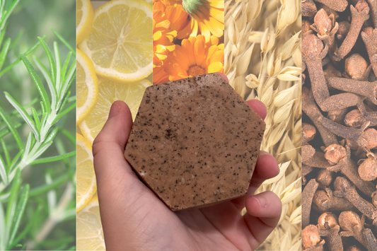 Hand + Body Wash Bars - Corvus Botanicals