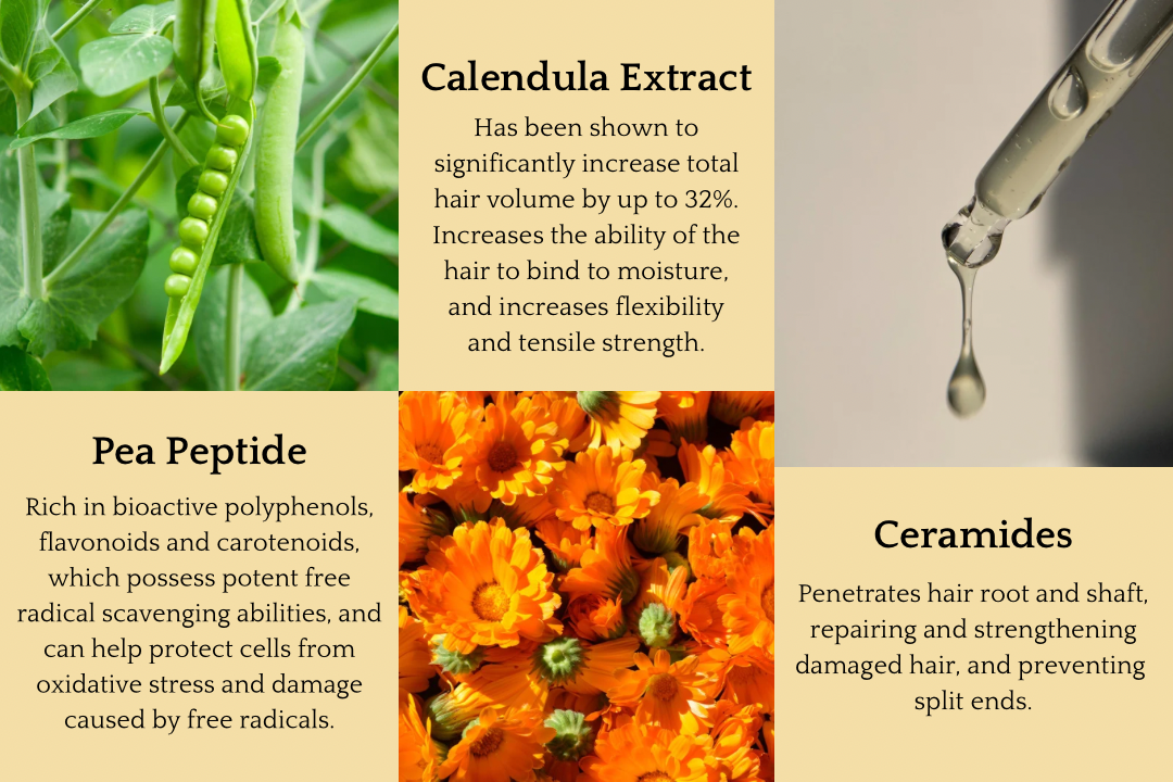 Skincare Bundle - Corvus Botanicals