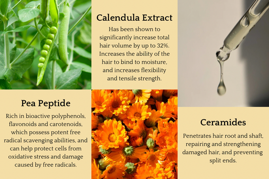 Skincare Bundle - Corvus Botanicals