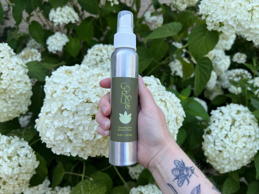 Cleansing Aloe Micellar Water - Corvus Botanicals
