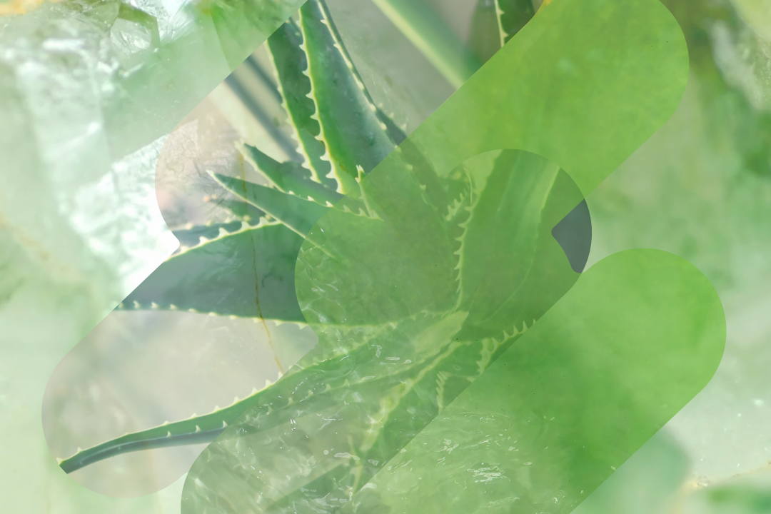 Cleansing Aloe Micellar Water
