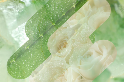 Plant PDRN Hydrating Toner
