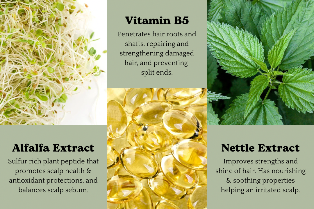 EMERALD: Maintenance Shampoo Bar for Normal Hair and Scalp - Corvus Botanicals