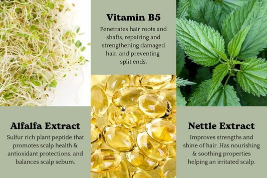 EMERALD: Maintenance Shampoo Bar for Normal Hair and Scalp
