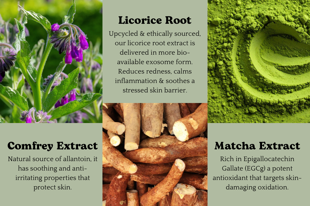 MATCHA Facial Cleanser Bar