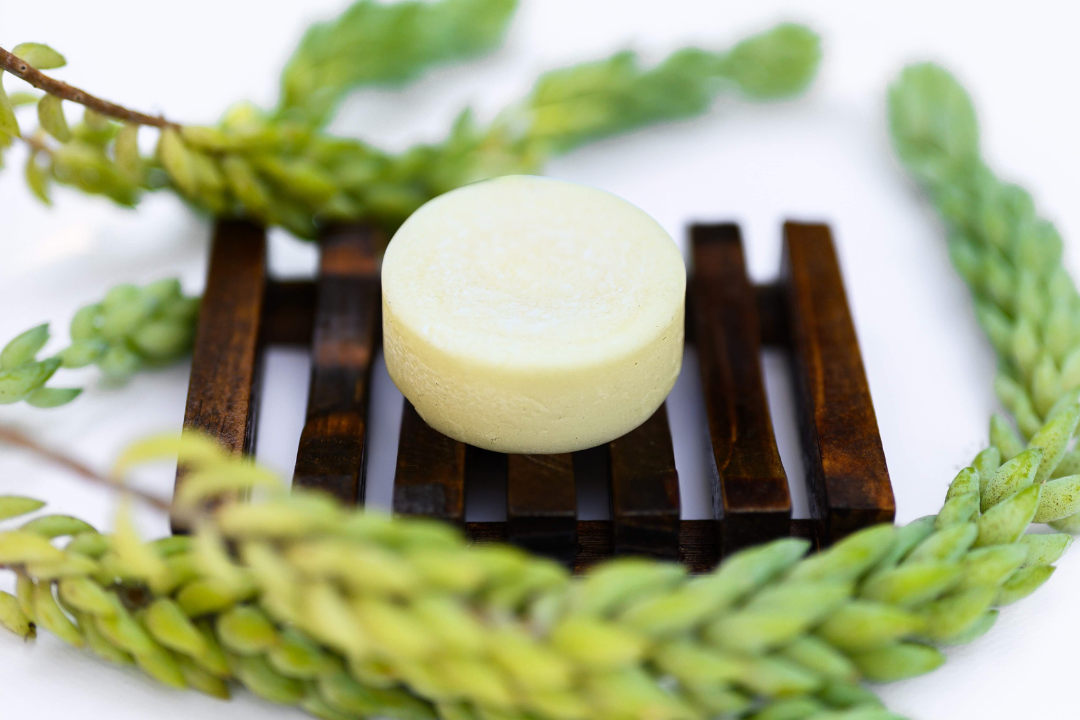 Trial-Size Shampoo and Conditioner Bars