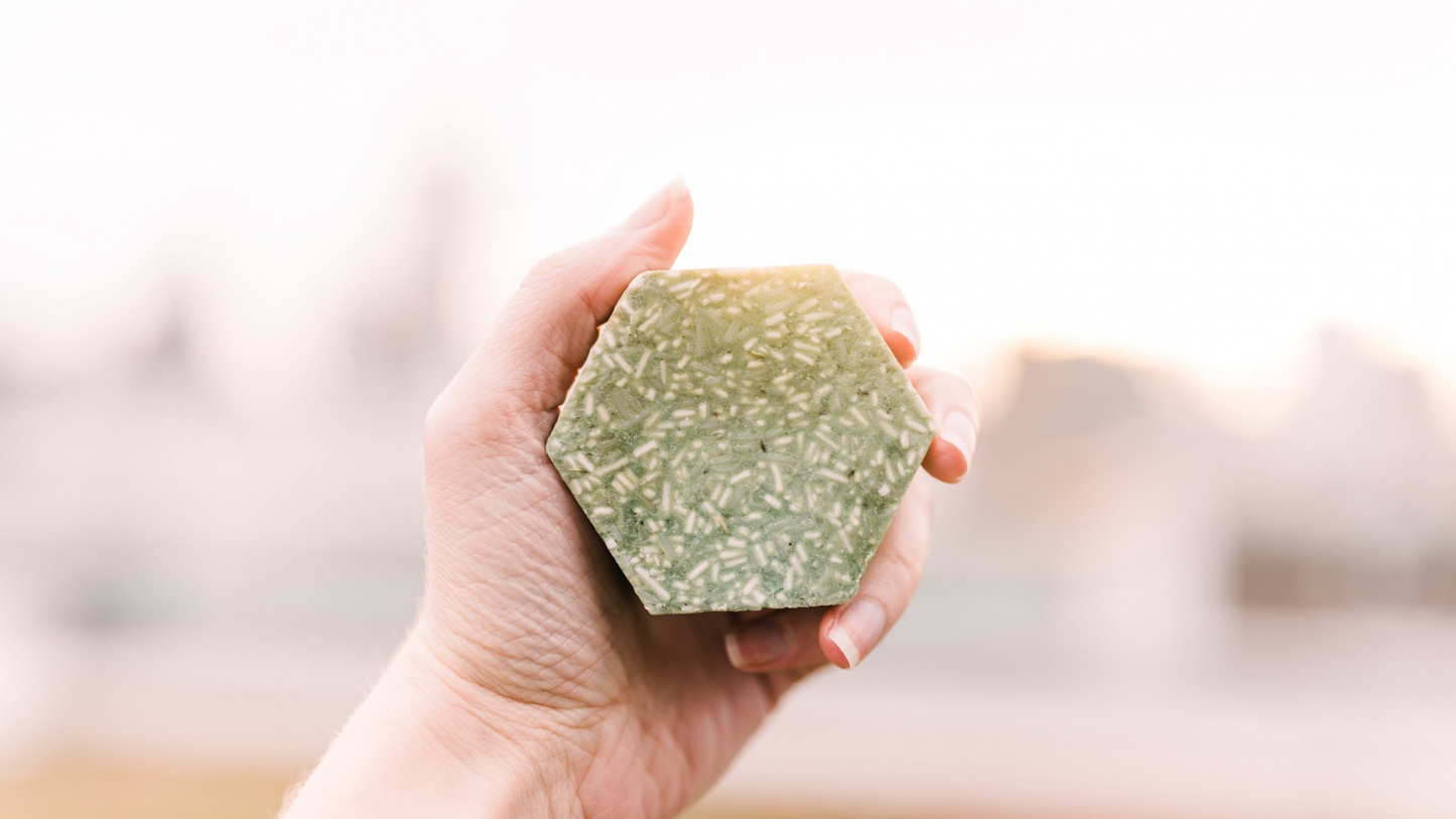 Haircare Bundle - Corvus Botanicals